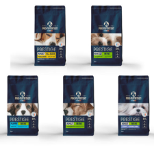 프레스티지 강아지 샘플5종