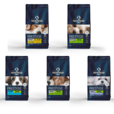프레스티지 강아지 샘플5종
